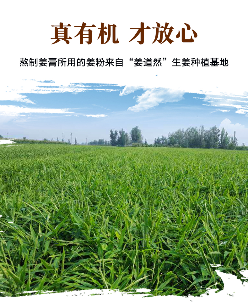 凡士林姜艾膏_05.jpg