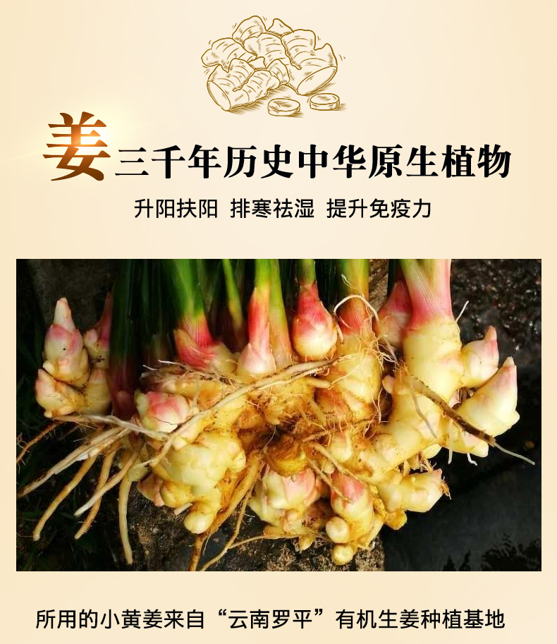 姜德堂久寒清-(1)_05.jpg