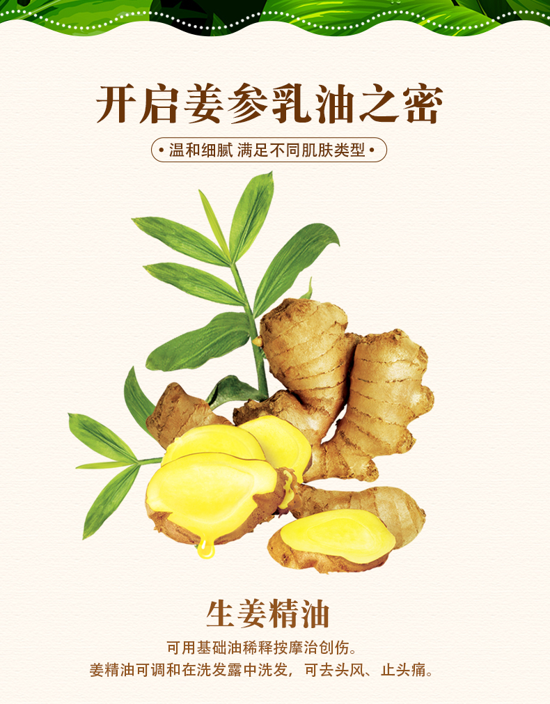 姜参乳油-(1)_08.jpg