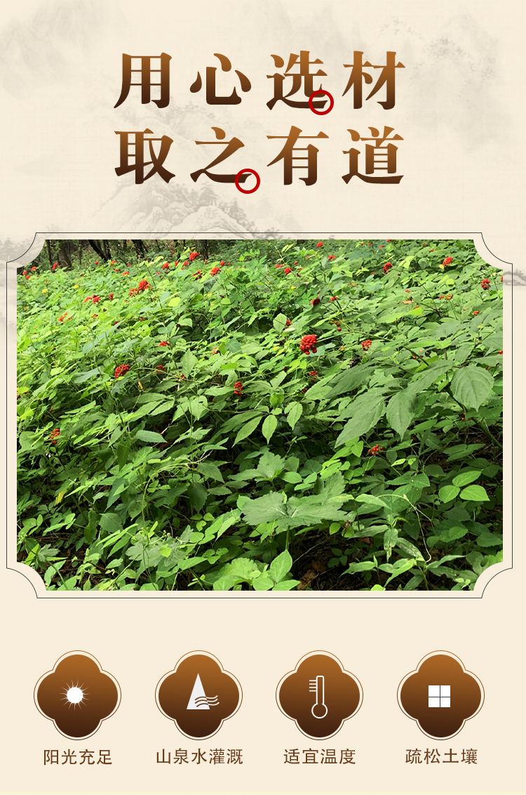 红参_04.jpg