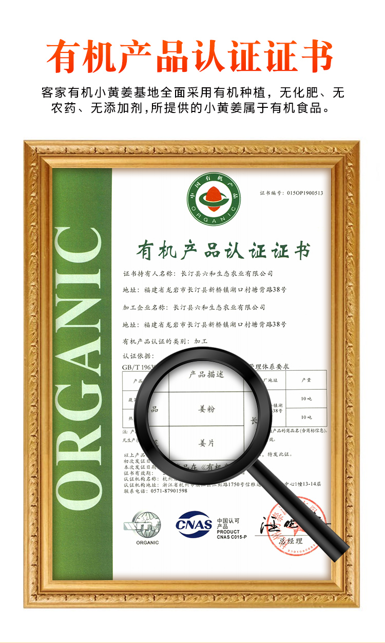 姜粉1_10.jpg