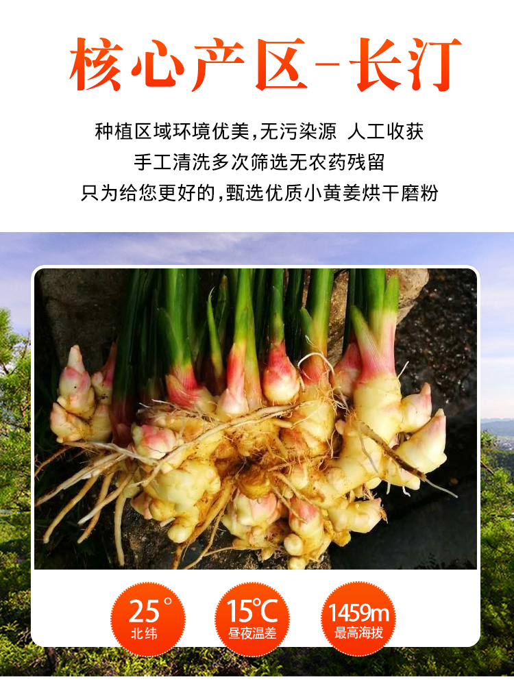 姜粉1_03.jpg