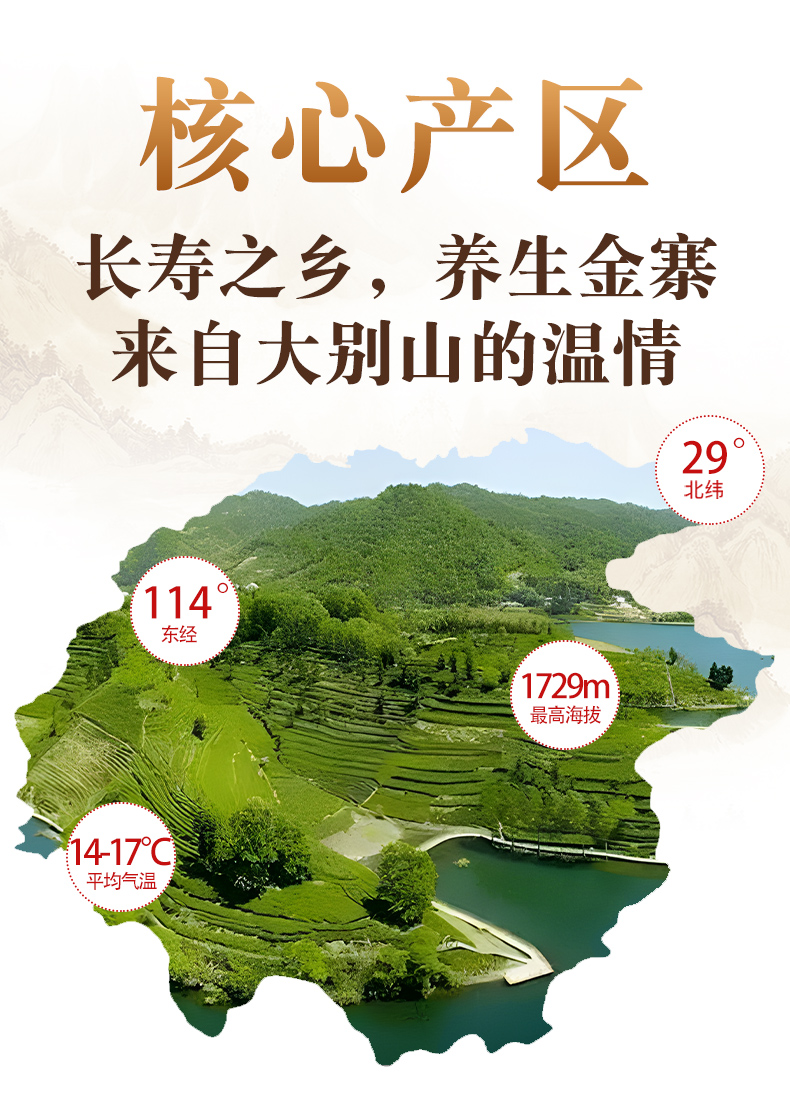 纯姜素_03.jpg